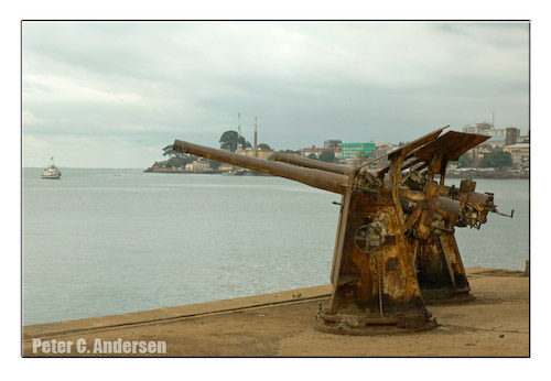 World War II era guns in Kingtom. They were uprooted in December 2006.