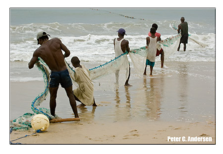 Draw-chain fishing on Lumley Beach.
