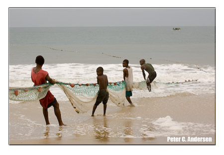 Draw-chain fishing on Lumley Beach.