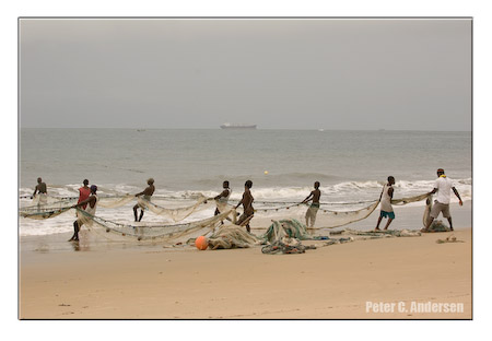 Draw-chain fishing on Lumley Beach.