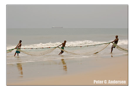 Draw-chain fishing on Lumley Beach.
