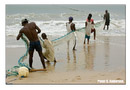 Draw-chain fishing on Lumley Beach.