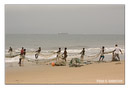 Draw-chain fishing on Lumley Beach.