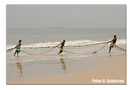 Draw-chain fishing on Lumley Beach.