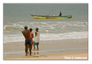 Draw-chain fishing on Lumley Beach.