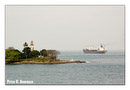 A ship passes the Cape Lighthouse.