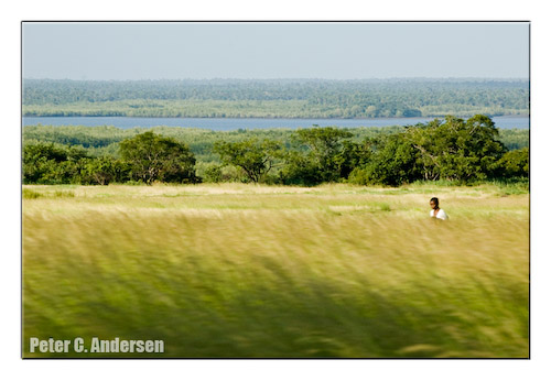 Landscape,  east of Freetown.