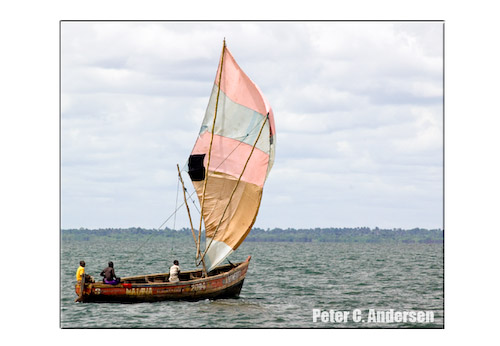 A sailboat passes Kingtom.