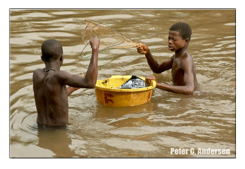 Boys netting fish in Crab Town.