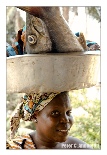 Selling fish in Freetown.