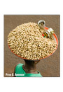 Selling groundnuts in downtown Freetown.
