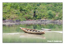 River No. 2