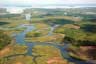 Mangrove swamp