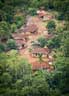 Forest village
