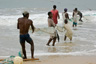 Draw-chain fishing on Lumley Beach