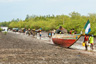 Fogbo at low tide