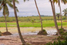 Scenery at Fogbo on the Peninsula