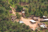Forest village