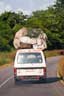Vehicle on the Freetown-Makeni highway