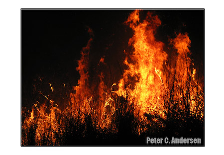 Burning brush to clear a farm in northern Sierra Leone.