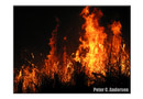 Burning brush to clear a farm in northern Sierra Leone.