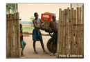 Delivery by omolankay.