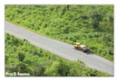 Breakdown on the Freetown-Makeni highway.